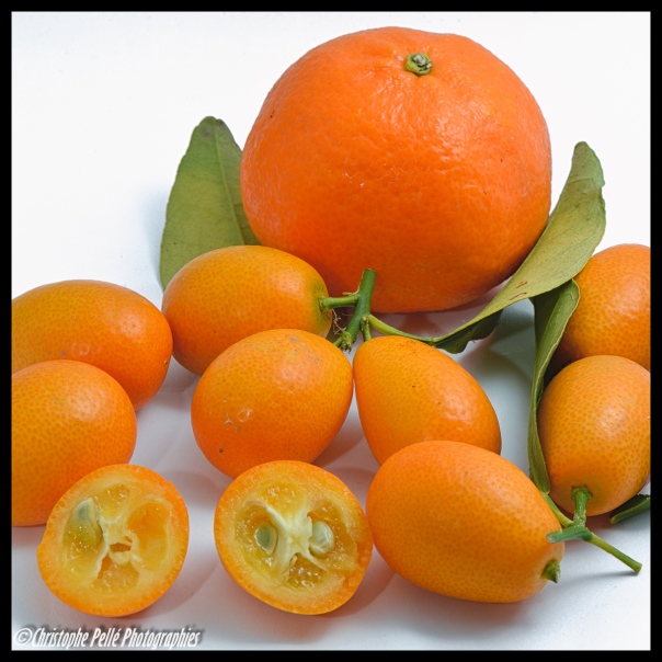 kumquats et clementine